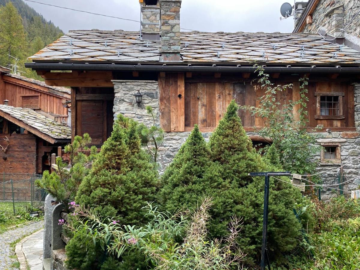 Chalet Cretaz 瓦托内切 外观 照片