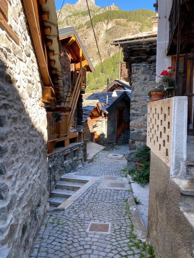 Chalet Cretaz 瓦托内切 外观 照片
